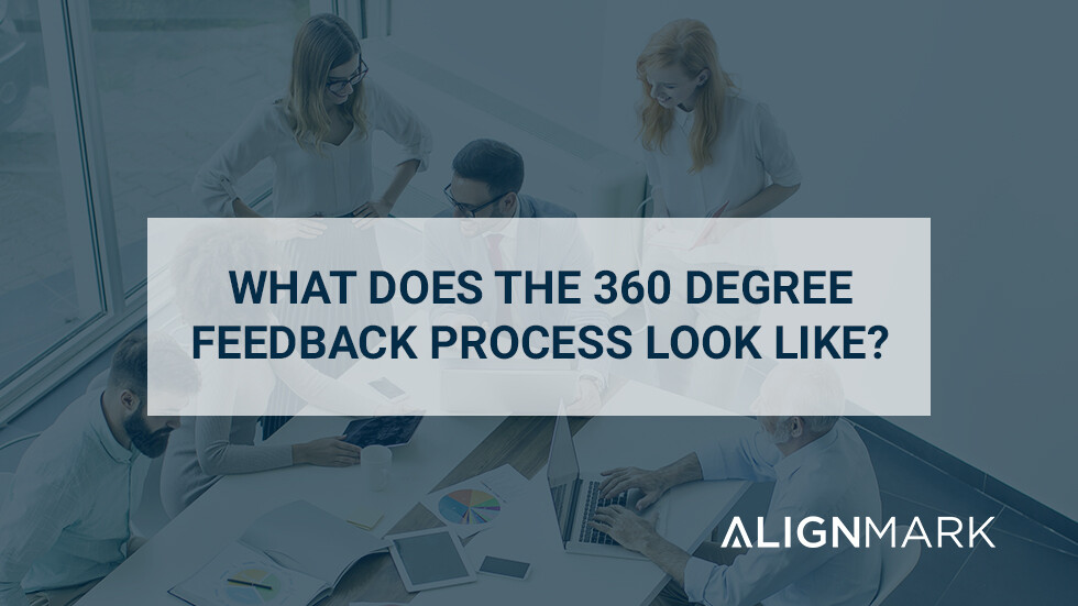 What does the 360 degree feedback process look like?