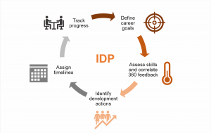 IDP process