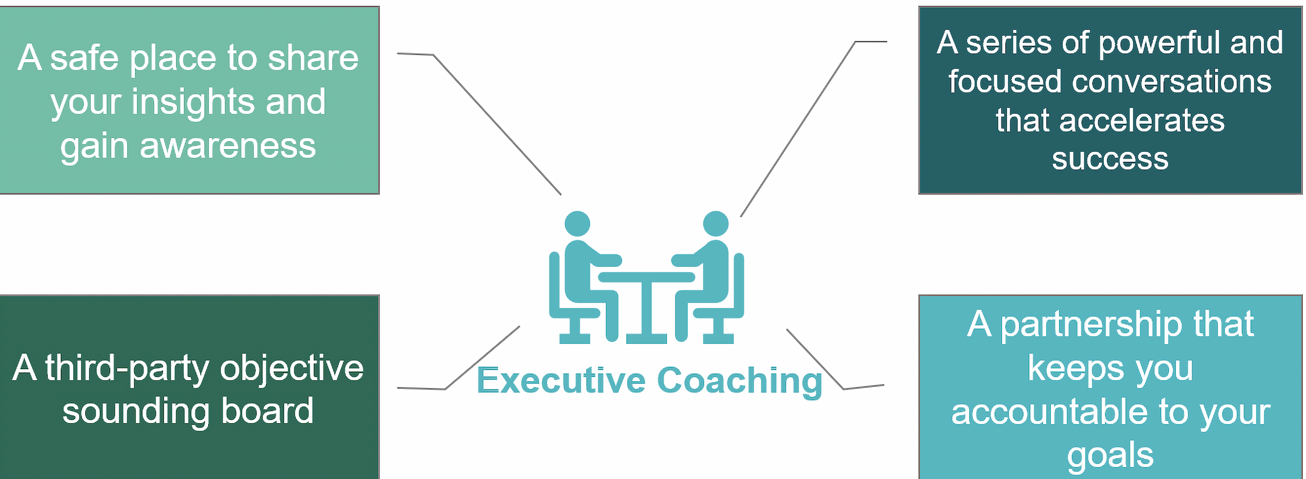 executive coaching model